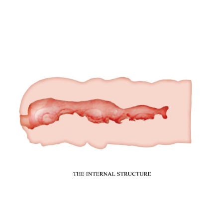 Мастурбатор Crazy Bull Isabel Pocket Masturbator №6