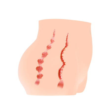 Мастурбатор-полуторс Kokos Cherry, два входи: вагіна і попка - фото №6