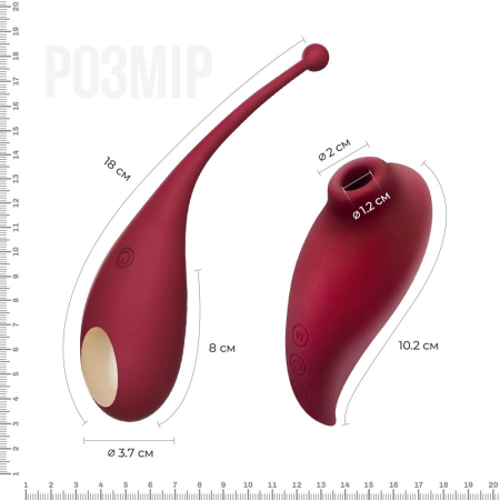 Смарт іграшка Adrien Lastic Inspiration: віброяйце і вакуумний стимулятор з керуванням зі смартфону - фото №3