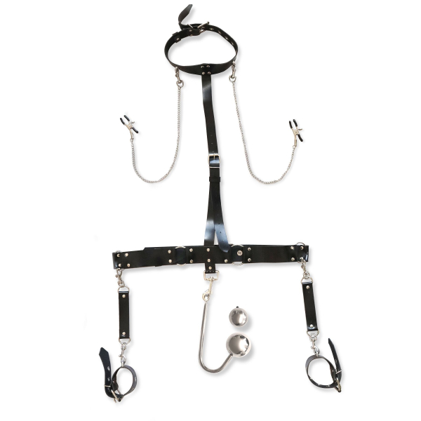 Бондажний набір з металевим анальним гаком Art of Sex Bridget Bondage set with anal hook №?4 - фото