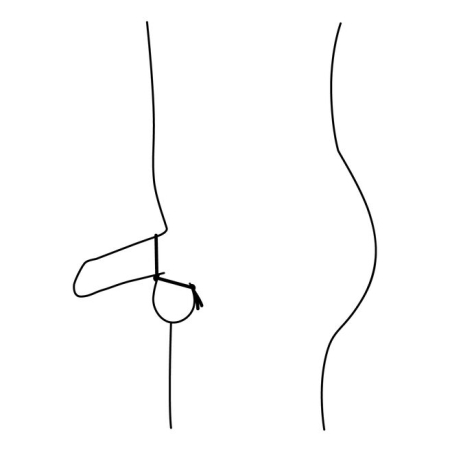 Подвійне ерекційне кільце-ласо Nexus FORGE, діаметр регулюється - фото №3