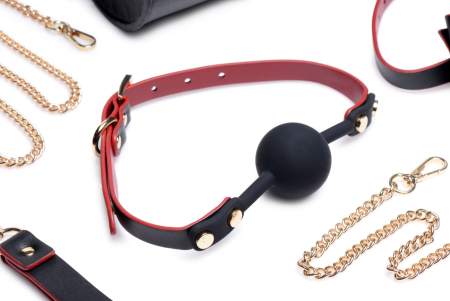 Набір БДСМ з дорожньою сумкою Master Series: Bow — Luxury BDSM Set With Travel Bag, 11 предметів - фото №3