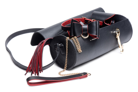 Набір БДСМ з дорожньою сумкою Master Series: Bow — Luxury BDSM Set With Travel Bag, 11 предметів - фото №2