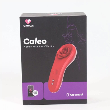 Смарт-вібратор у трусики Fun Town Caleo, надійне кріплення на магніті - фото №7