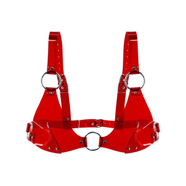 Ліф класичний Feral Feelings - Bikini Top Red Trasparent - фото