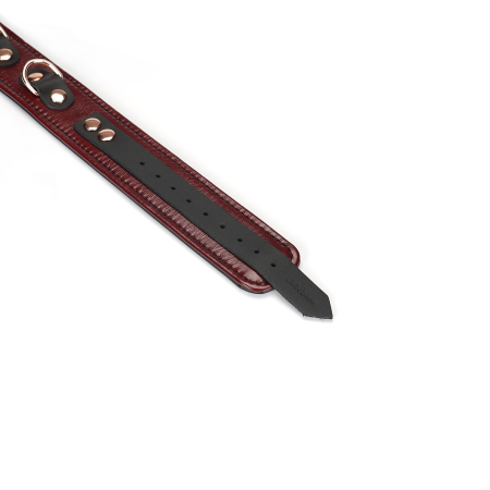 Шкіряний нашийник з повідцем Liebe Seele Wine Red Collar and Leash, 3 кільця для кріплення - фото №6