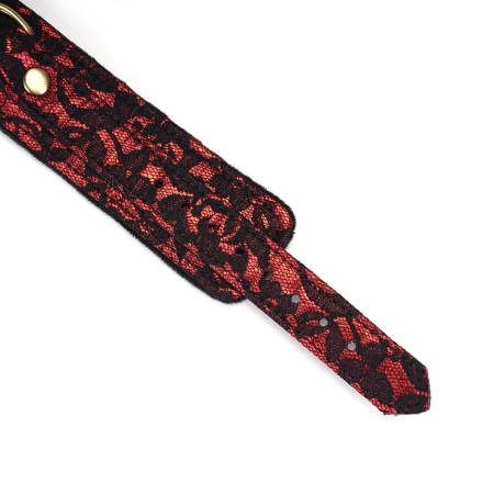 Нашийник з повідцем Liebe Seele Victorian Garden Collar with Leash - фото №5