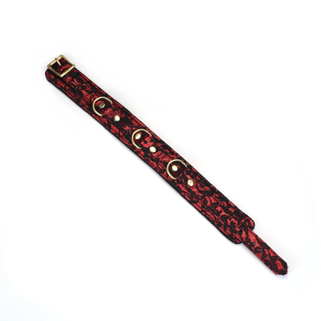 Нашийник з повідцем Liebe Seele Victorian Garden Collar with Leash - фото №4