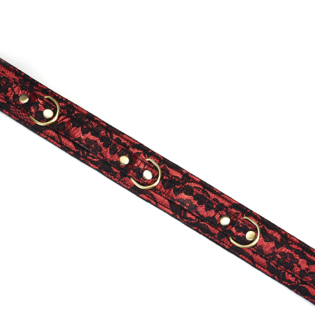 Нашийник з повідцем Liebe Seele Victorian Garden Collar with Leash - фото №8