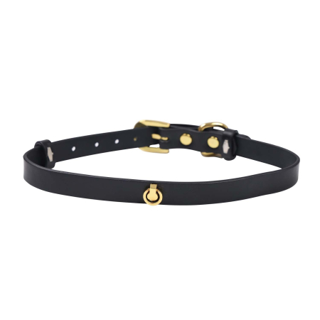 Сумка LOCKINK Detachable JK Bag For Sex Toy Storage & Bondage Play - фото №7