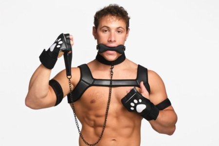 Набір BDSM цуценя Master Series Luxury Pup Arsenal Set - Black - фото №15