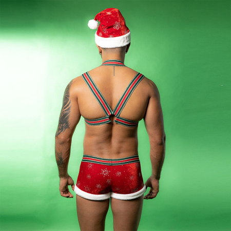 Новорічний чоловічий еротичний костюм JSY 9133 One Size - фото №5